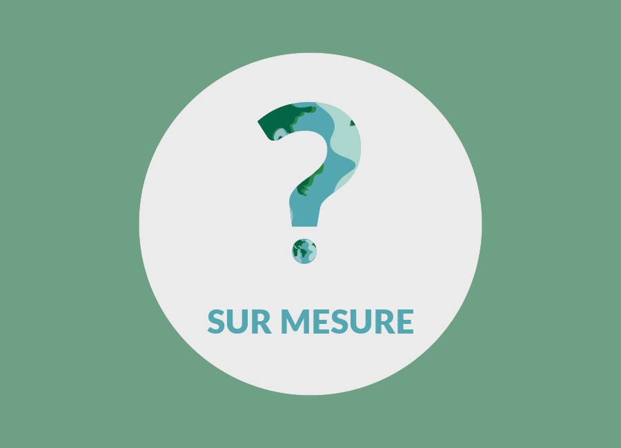 Cliquez ici pour en savoir plus sur l'offre sur mesure proposé par l'Énigme Verte